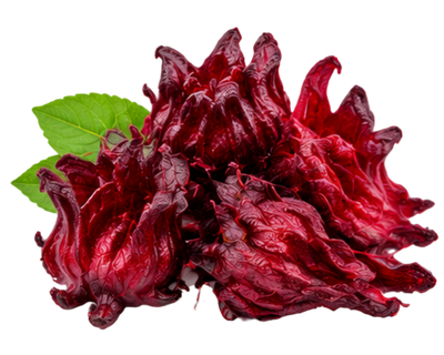 Hibiscus Flower