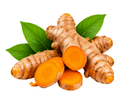 Turmeric Root