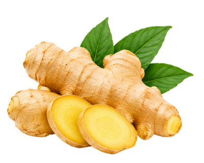 Ginger Root