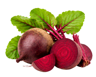 Beetroot Root