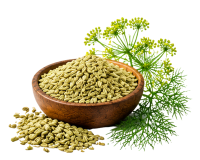 Fennel Seed