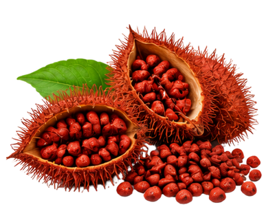 Annatto Seed