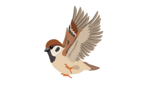 sparrow